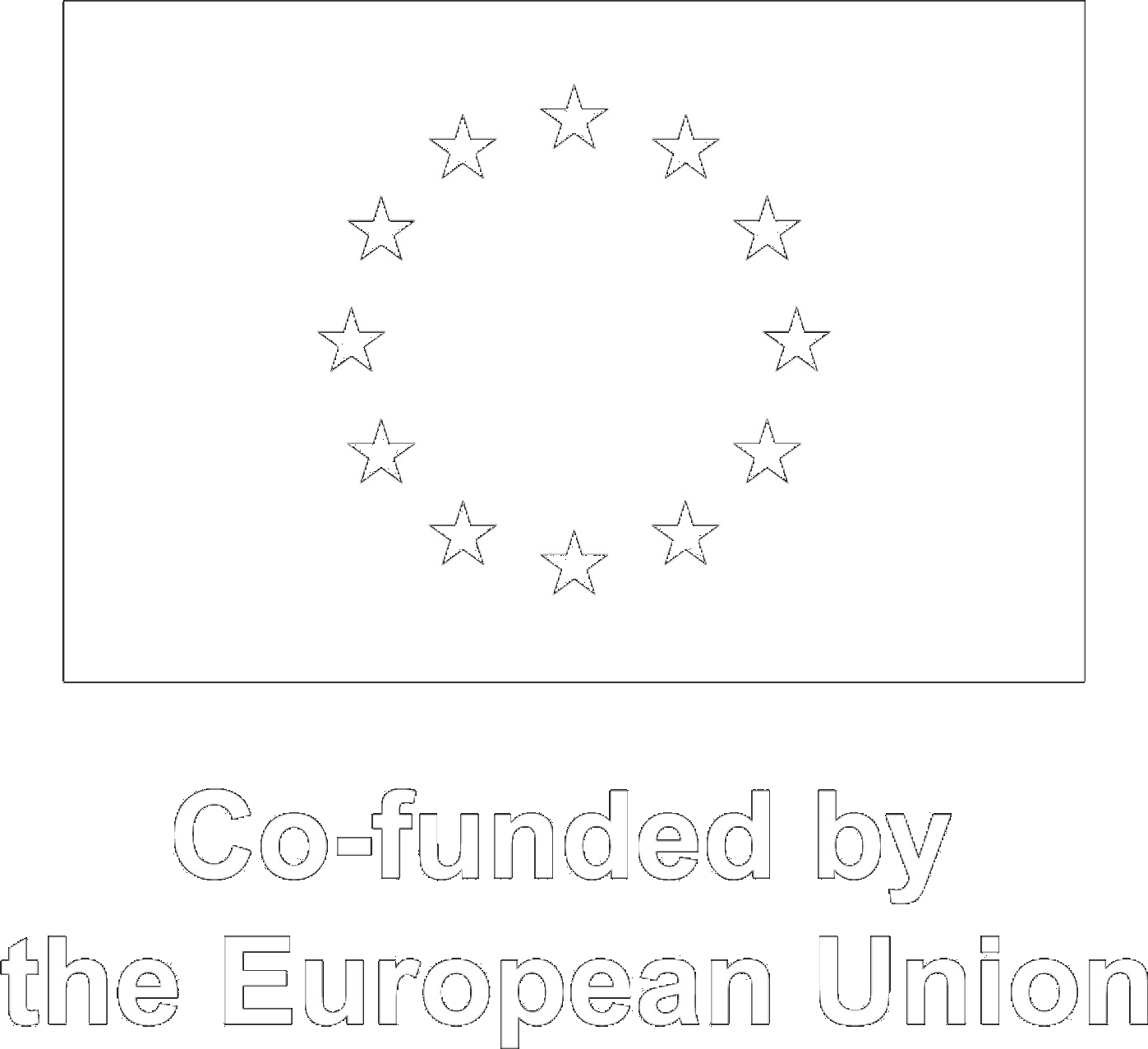 Co-funded by the European Union